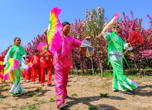 八卦门秧歌,传承千年民俗文化的独特韵律