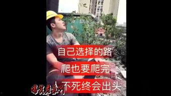 老表 你好hea 背景音乐,一场跨越时空的回忆之旅